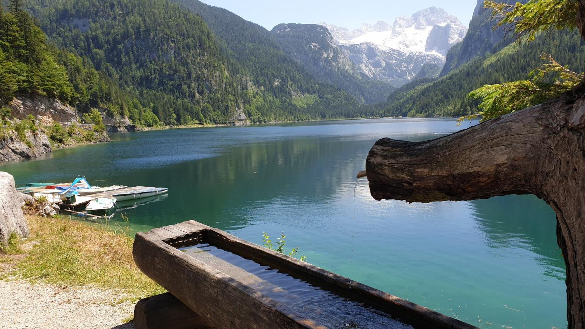 Pension Elisabeth Russbach am Pass Gschutt Bagian luar foto